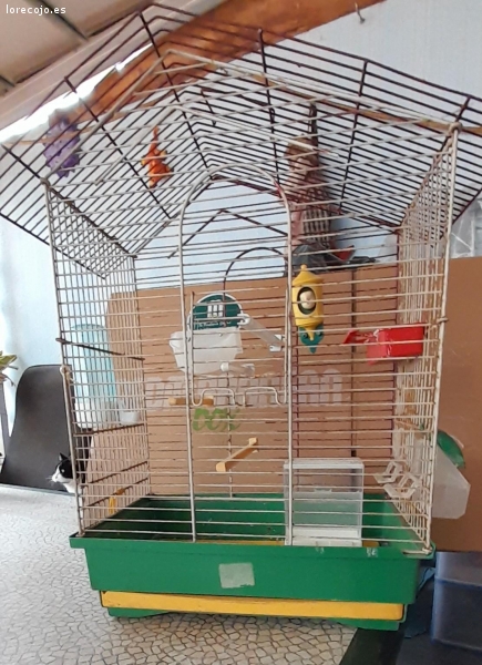 jaula pajaro