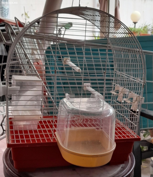 jaula pajaro