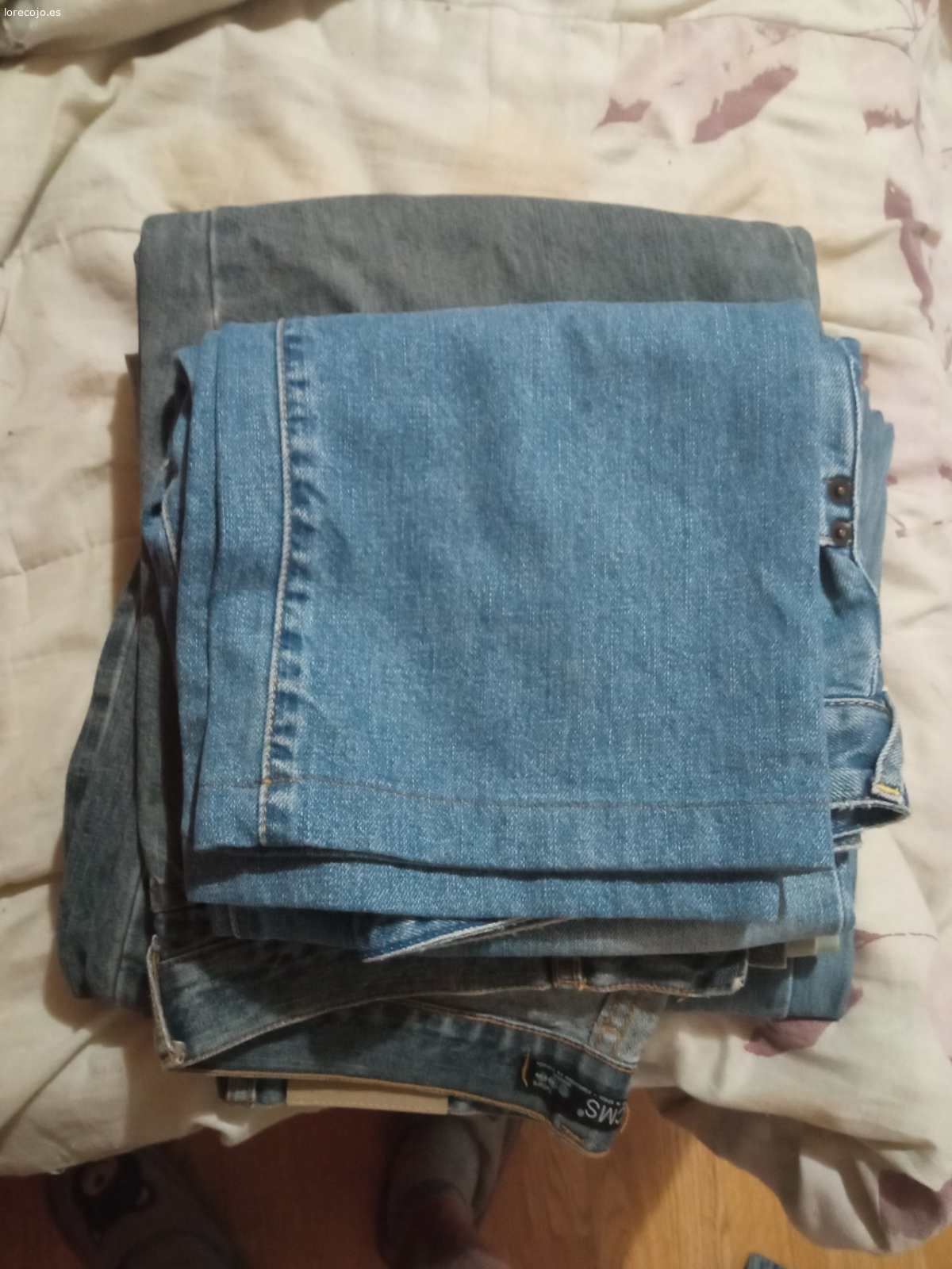 pantalones cortos y largos. pantalones