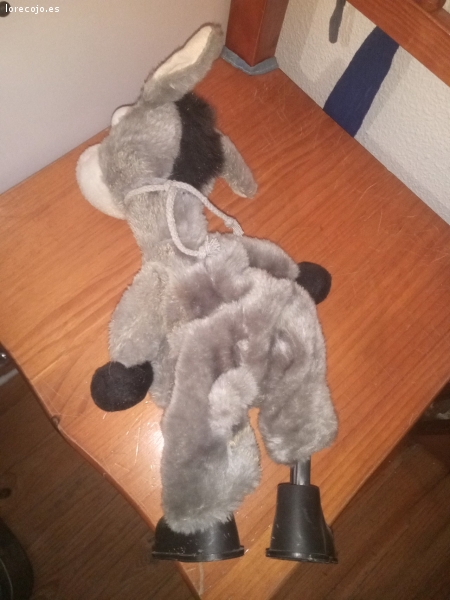regalo burro por no usar