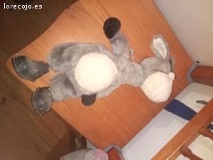 regalo burro por no usar