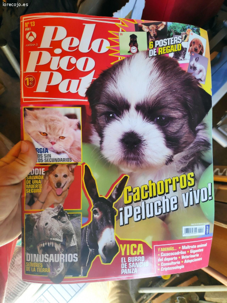 regalo