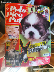 regalo
