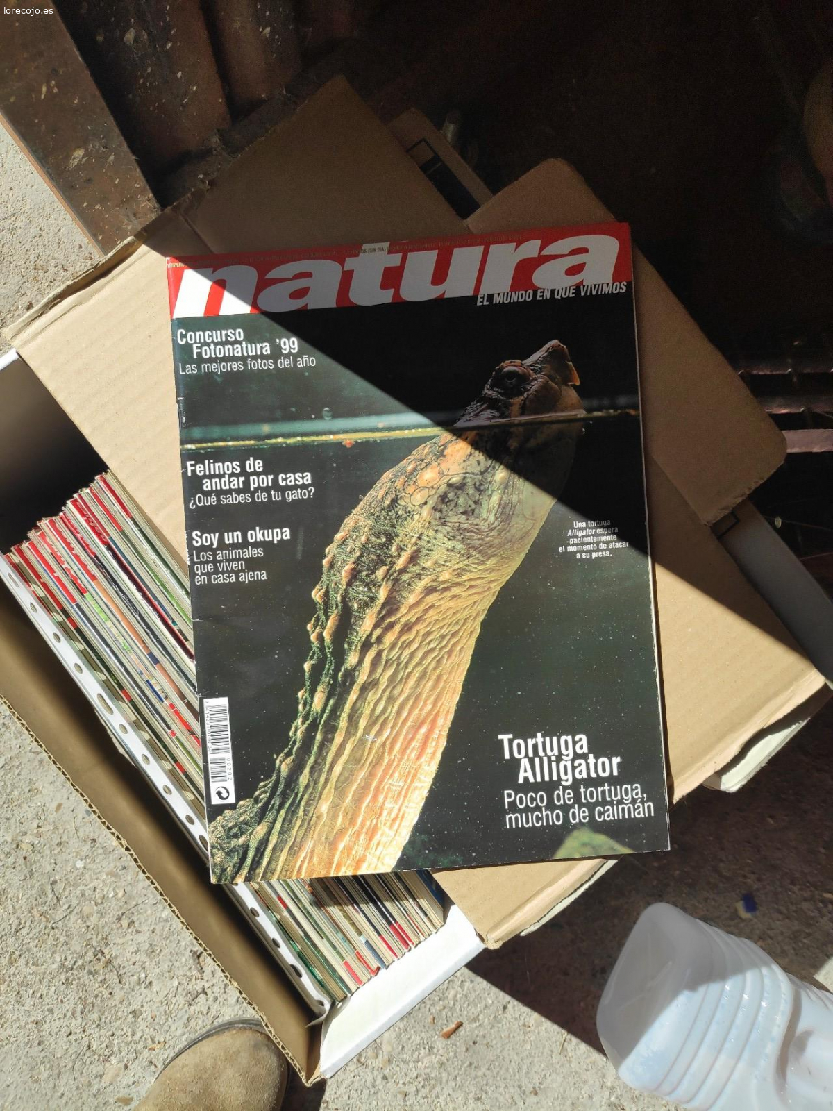 regalo. bastantes ejemplares de las revistas Natura y Pelo pico pata